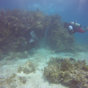Swim Thru on Horseshoe Reef.JPG