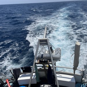 So long and thanks  for all the fish