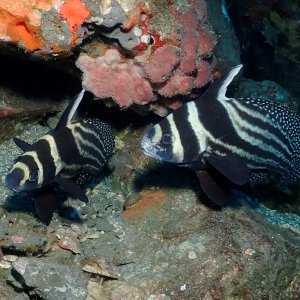 I don't wanna work...