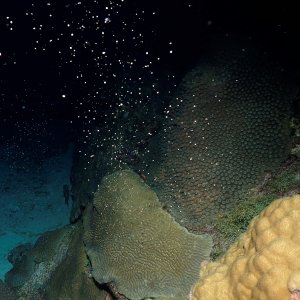 It's the girls' turn!