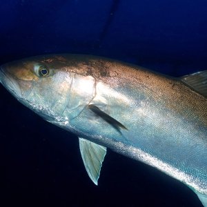 Here's lookin' at ya