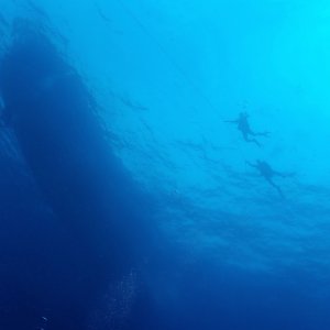 Returning to the mothership