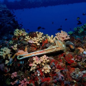 This puts a wrench in things.