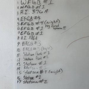 Final dive list