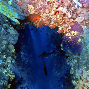 Peeping into the abyss