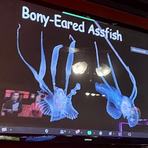 What’d you just call me?