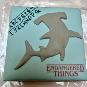 Of course I got a cookie