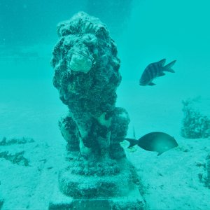 Guardian of Neptune Reef.jpg