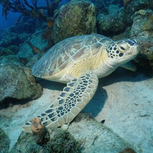 02-sushi boy-time to go.JPG