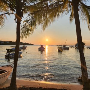 The view from the West End