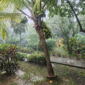 Our first Honduran rain storm