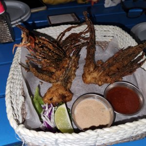 Lionfish wings at Gingers Caribbean