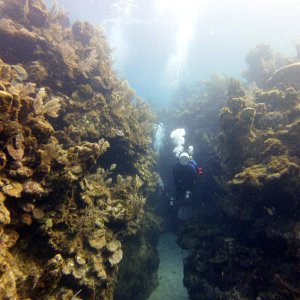 Deepbubbles heading into the swim-thru at Blue Channel