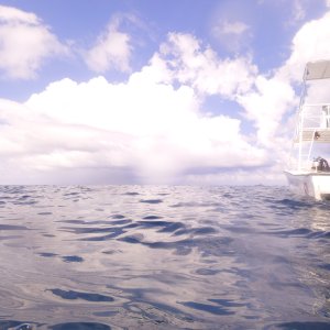 Water spouts when we came up from the Texas dive