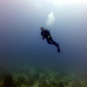 Deepbubbles hovering above Texas