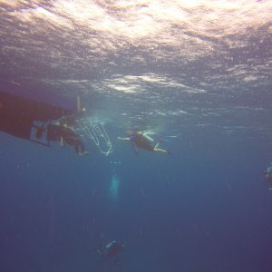 19 - Raining above before the engine failed