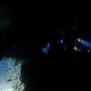 24 - Night Dive