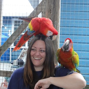 32 - Deepbubbles' new friends