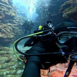 Scuba Diving "Zig Zag" in Roatán, Honduras - November 2022