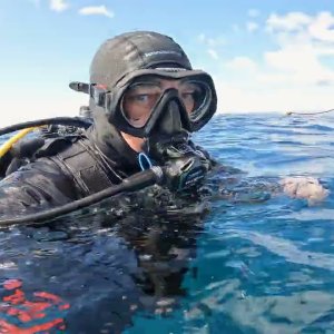 Scuba Diving "Pillow Coral" in Roatán, Honduras - November 2022