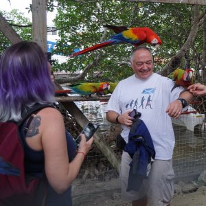 Fun With Parrots.jpg