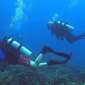 Briannewman and Polaris