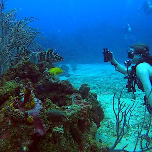 watermonkee taking photos