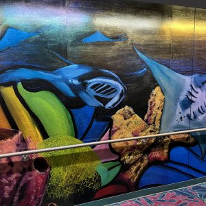 Aquarius Art Tunnel