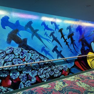 Aquarius Art Tunnel