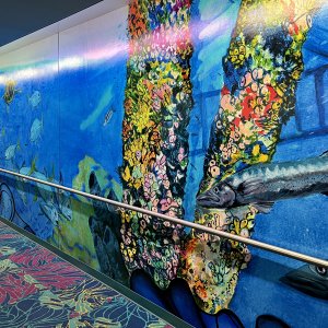 Aquarius Art Tunnel