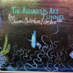 Aquarius Art Tunnel