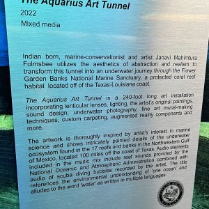Aquarius Art Tunnel