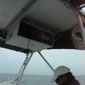 Whale songs in PV