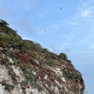 Soaring
