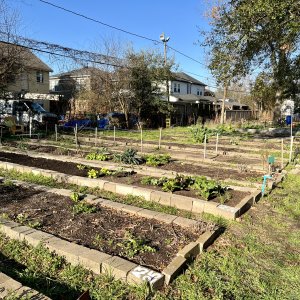 Alabama Gardens