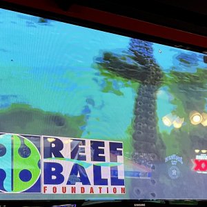 Reef Ball Foundation