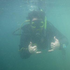 Dive 01 - MattScuteri.JPG