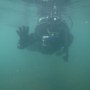 Dive 02 - Siren.JPG