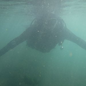 Dive 03 - 24%.JPG