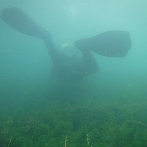 Dive 09 - 24%.JPG
