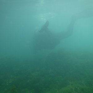 Dive 10 - 24%.JPG