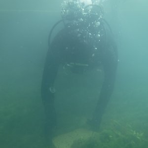 Dive 11 - 24% finds concrete.JPG