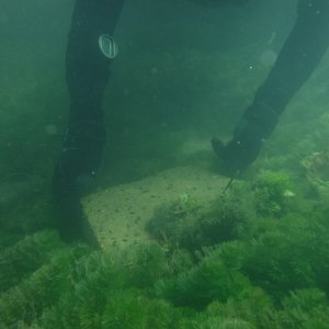 Dive 12 - 24% goes to lift concrete.JPG