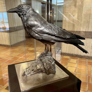 At the Wittliff Collections