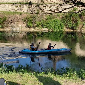 Volans and Misslodon CLAIM the Comal.jpg