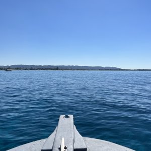 land ho