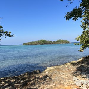 How much for the island?