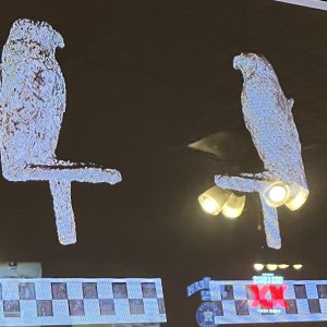 Bird statue found during the excavation