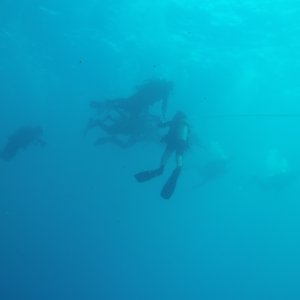 Divers heading back to Fling from HI 379B