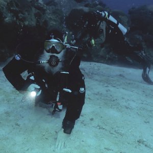 VikingDiver